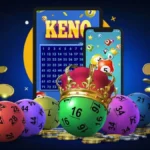 article_13265_featured_1771470835