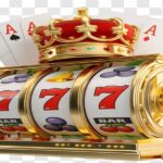 article_32496595_gallery_1777369608962-1