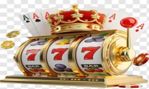 article_32496595_gallery_1777369608962-1